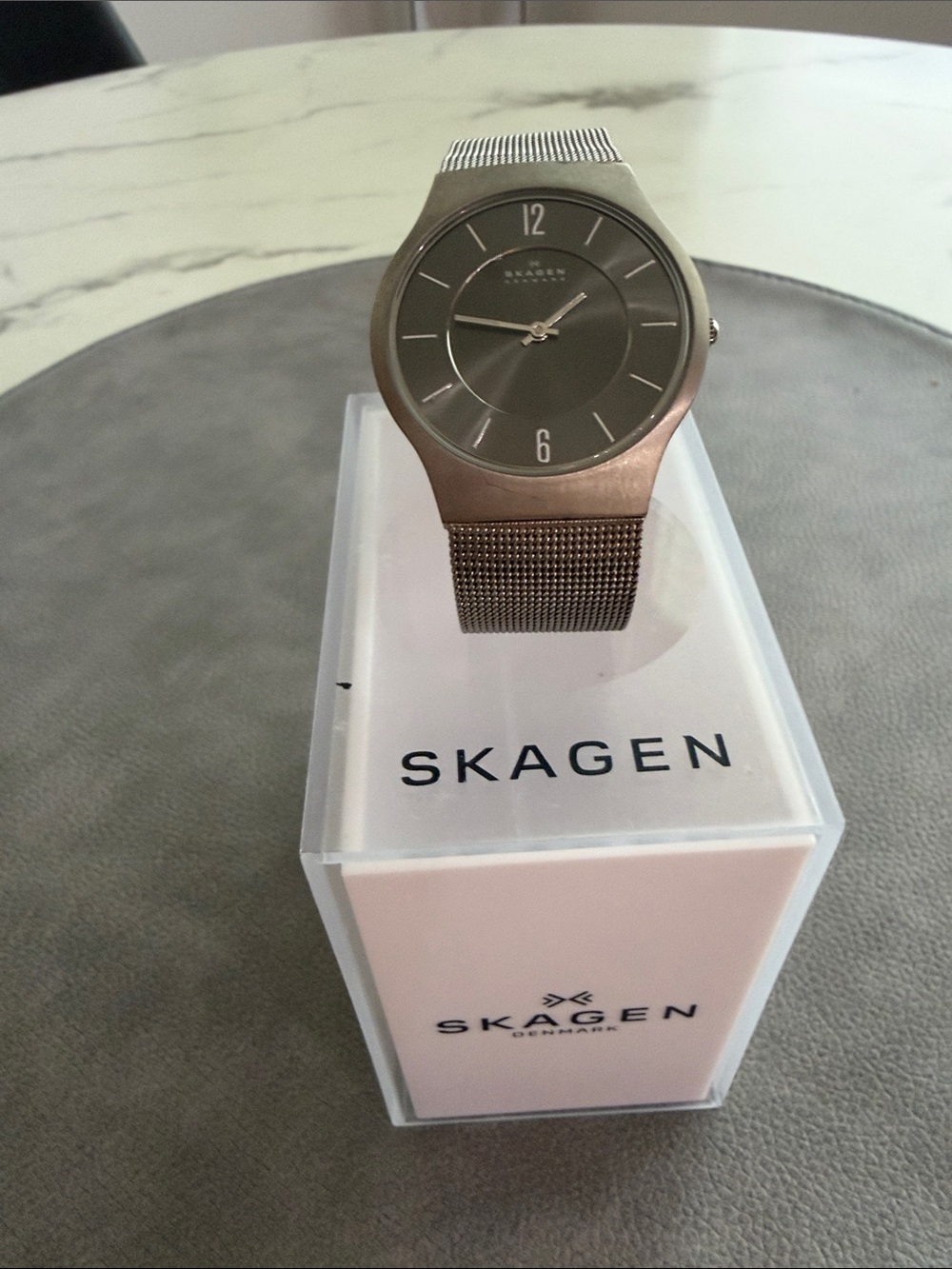 Skagen Titanium Stainless Mesh Watch